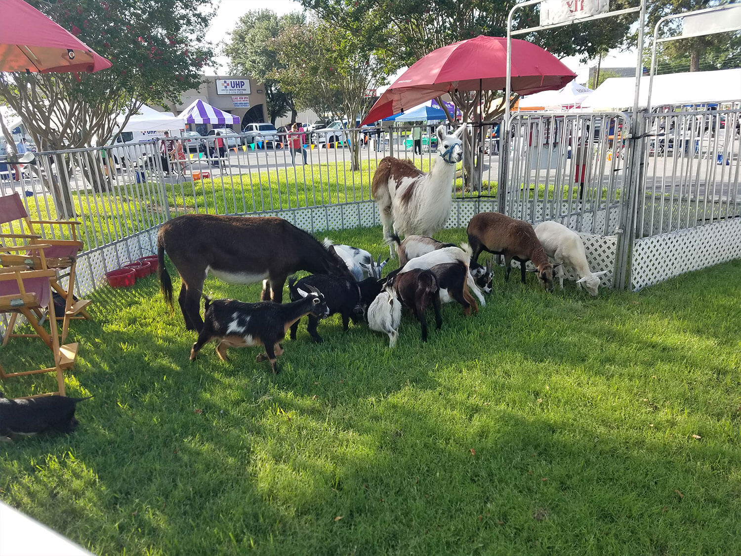 National Night Out 2021 5