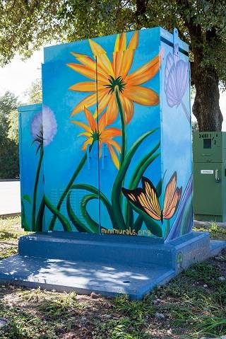 Mini Mural - TC Jester at W Little York