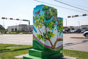 Bingle @ West Little York