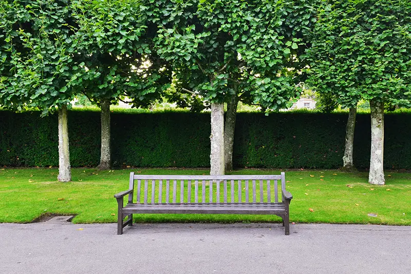 Public Services