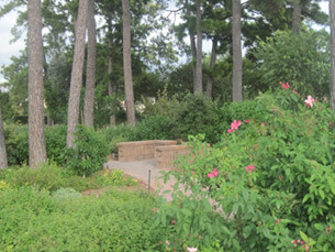 White Oak Butterfly Hummingbird Garden