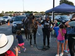 Mounted HPD