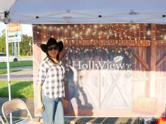 HollyView
