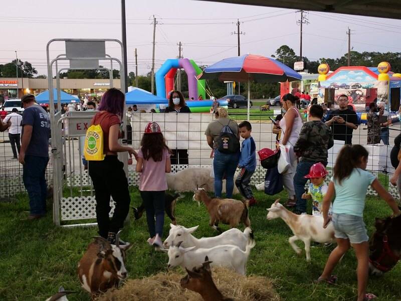 AnimalsandKids
