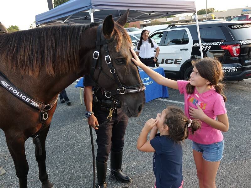 HPD Horse