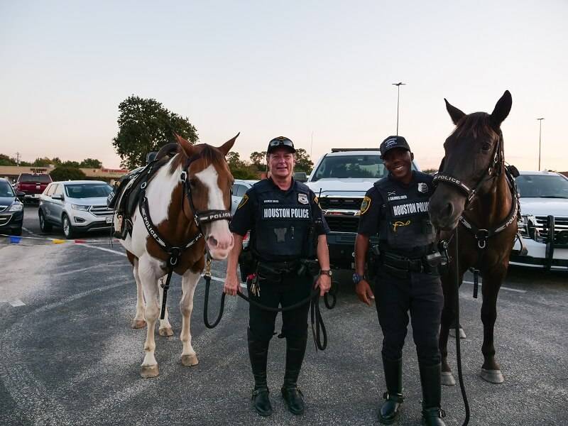 HPD Mounted