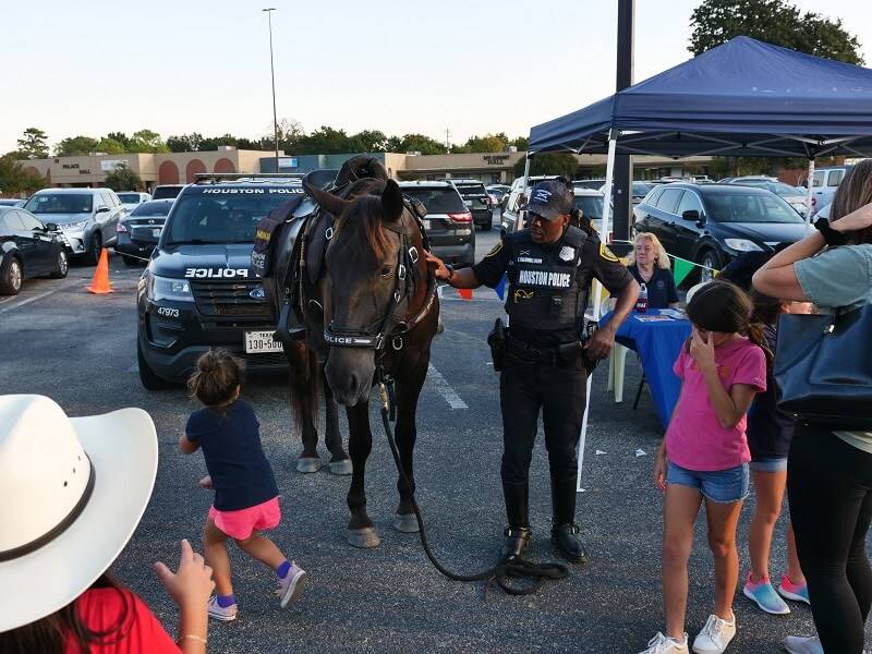 Mounted HPD